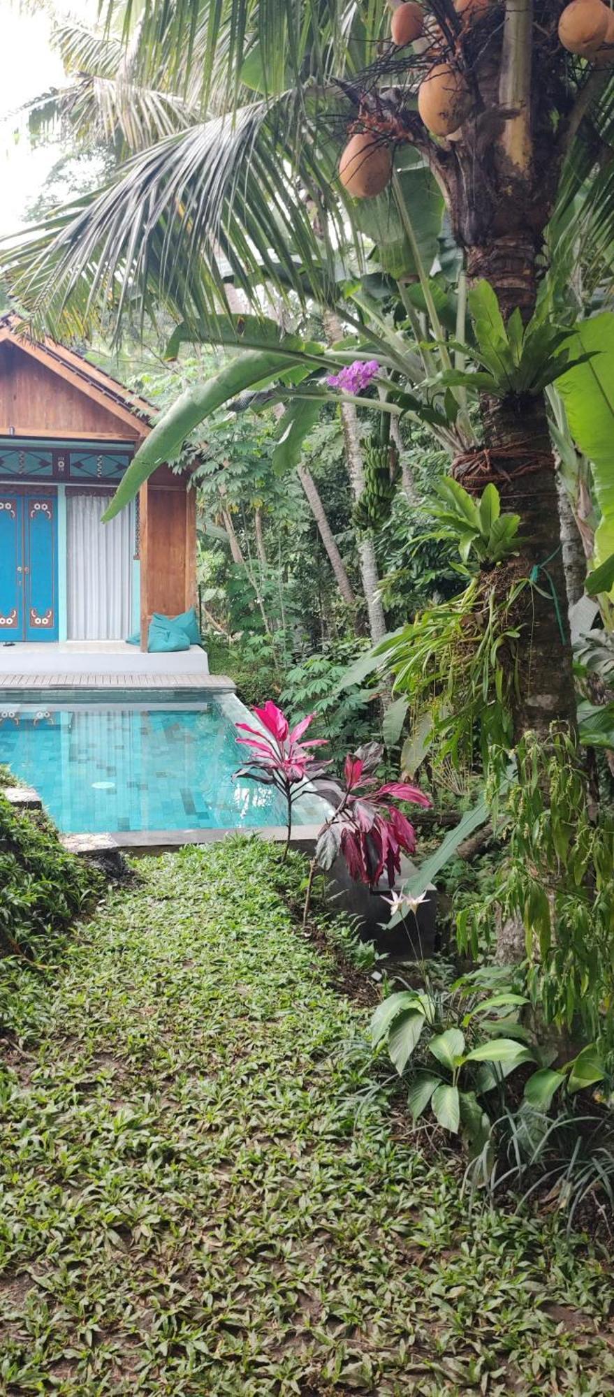 Rumah Guci ウブド エクステリア 写真