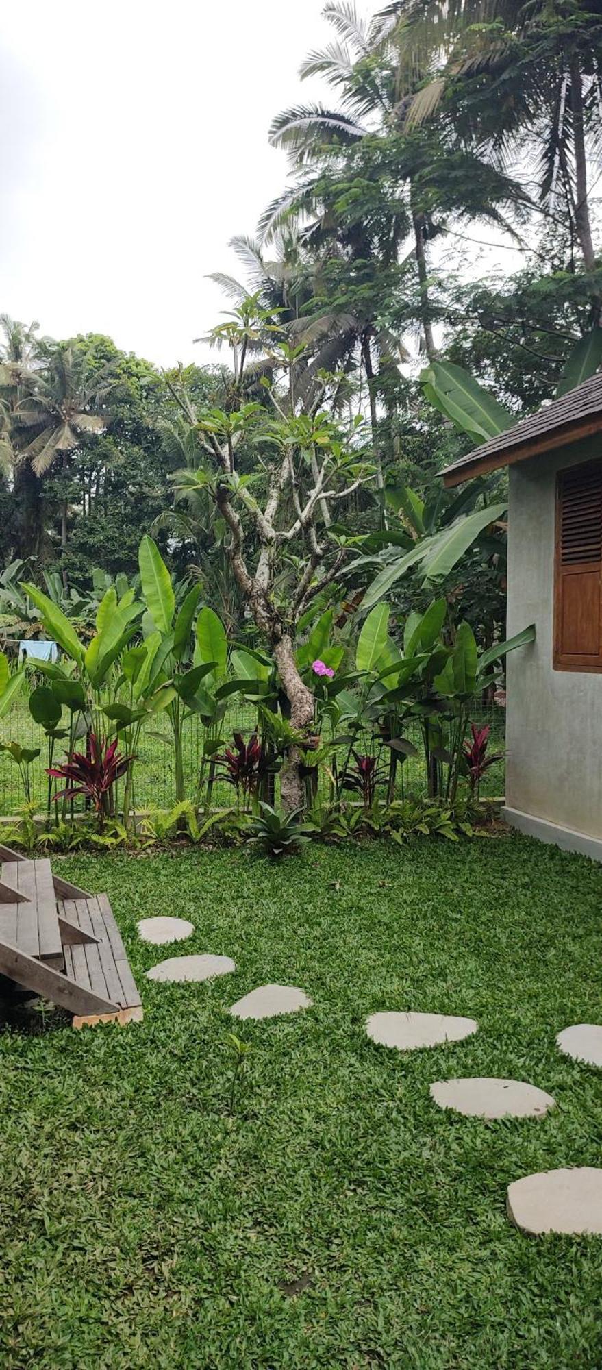 Rumah Guci ウブド エクステリア 写真