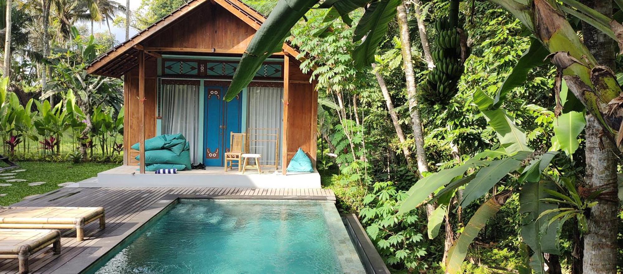 Rumah Guci ウブド エクステリア 写真