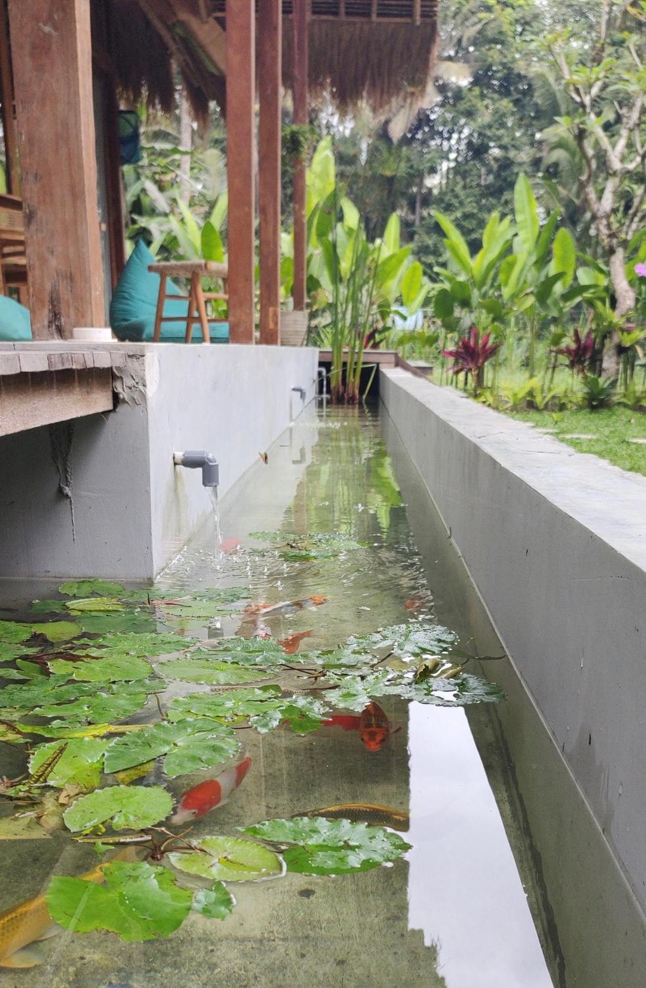 Rumah Guci ウブド エクステリア 写真